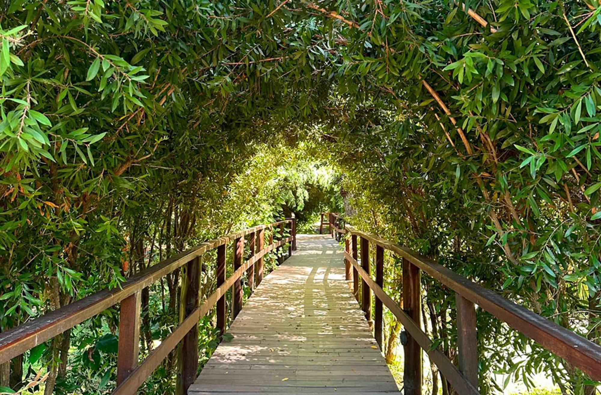 Delta Eco Resort & Spa Tigre Exterior foto